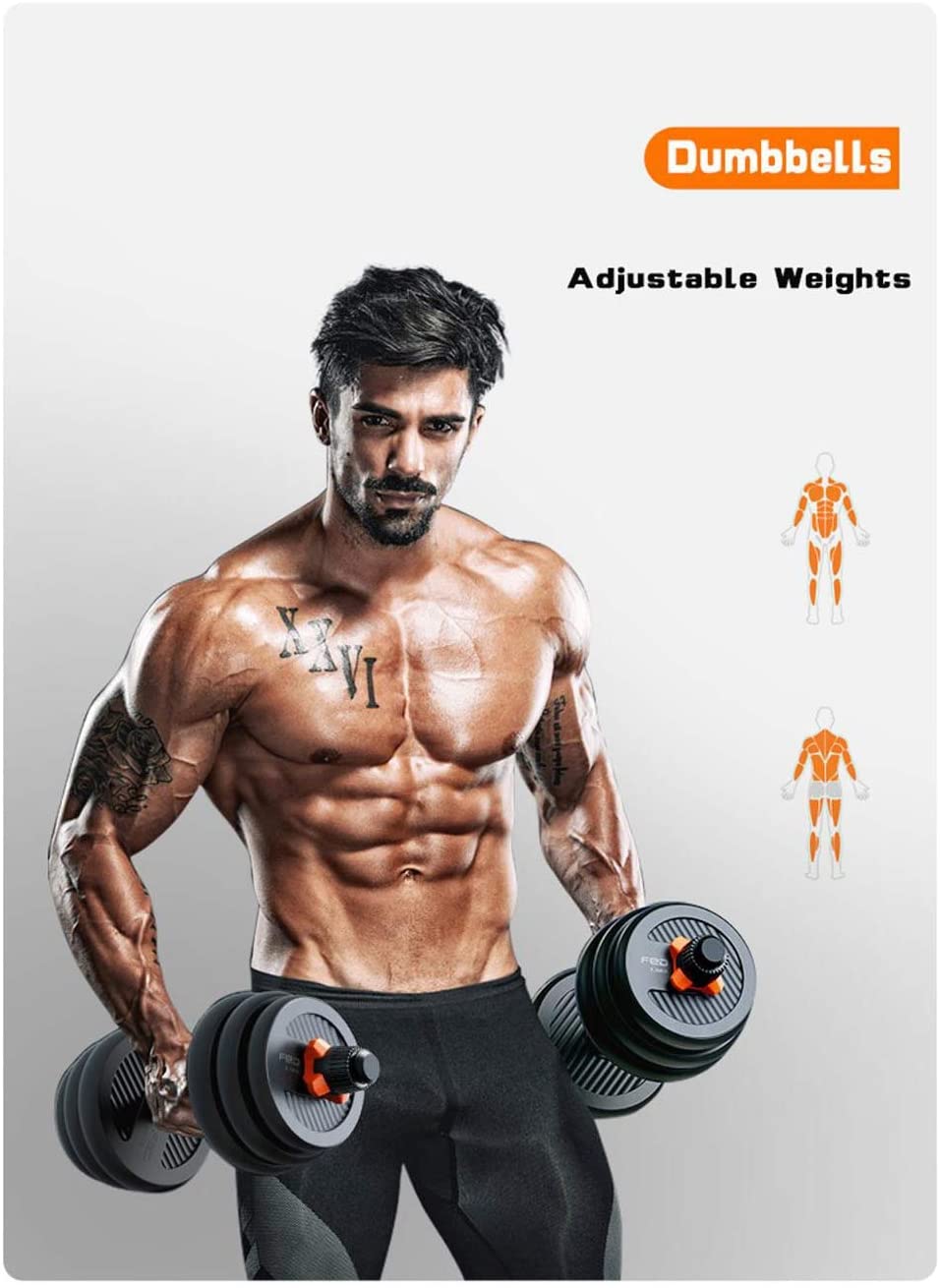 61Kx822wyoL._AC_SL1348_